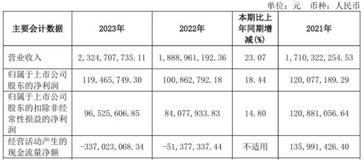 箱包创业计划书swot