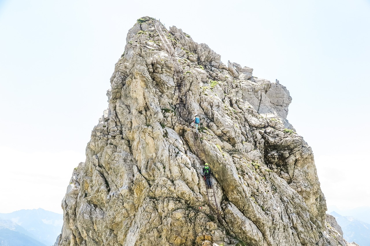 女子爬山遭猴子抢包，无奈树下喊话唤醒心灵深处的勇气