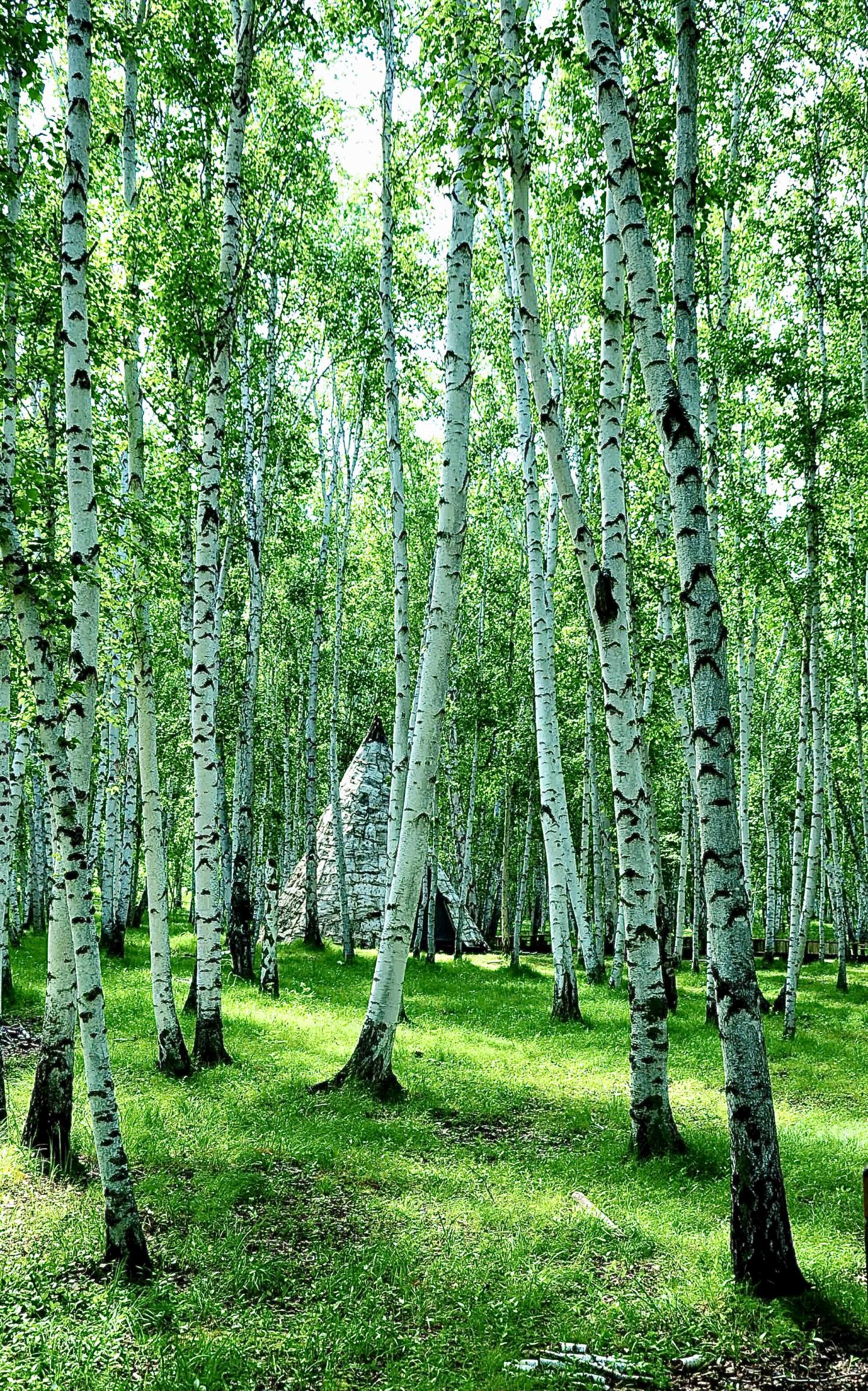 旅行要注意哪些安全?10大实用技巧让你轻松避坑,安心享受每一段旅程 第1张 旅行要注意哪些安全?10大实用技巧让你轻松避坑,安心享受每一段旅程 第1张