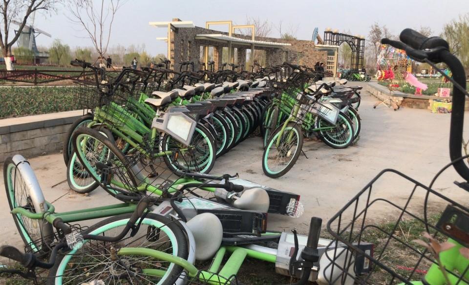 旅游相关知识点总结怎么写？轻松掌握高效写作技巧，告别杂乱信息困扰  第1张