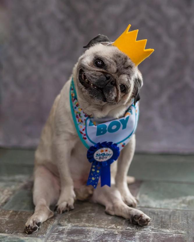 旅游的基础是什么？掌握这3大核心，让你的旅行从焦虑变享受  第3张