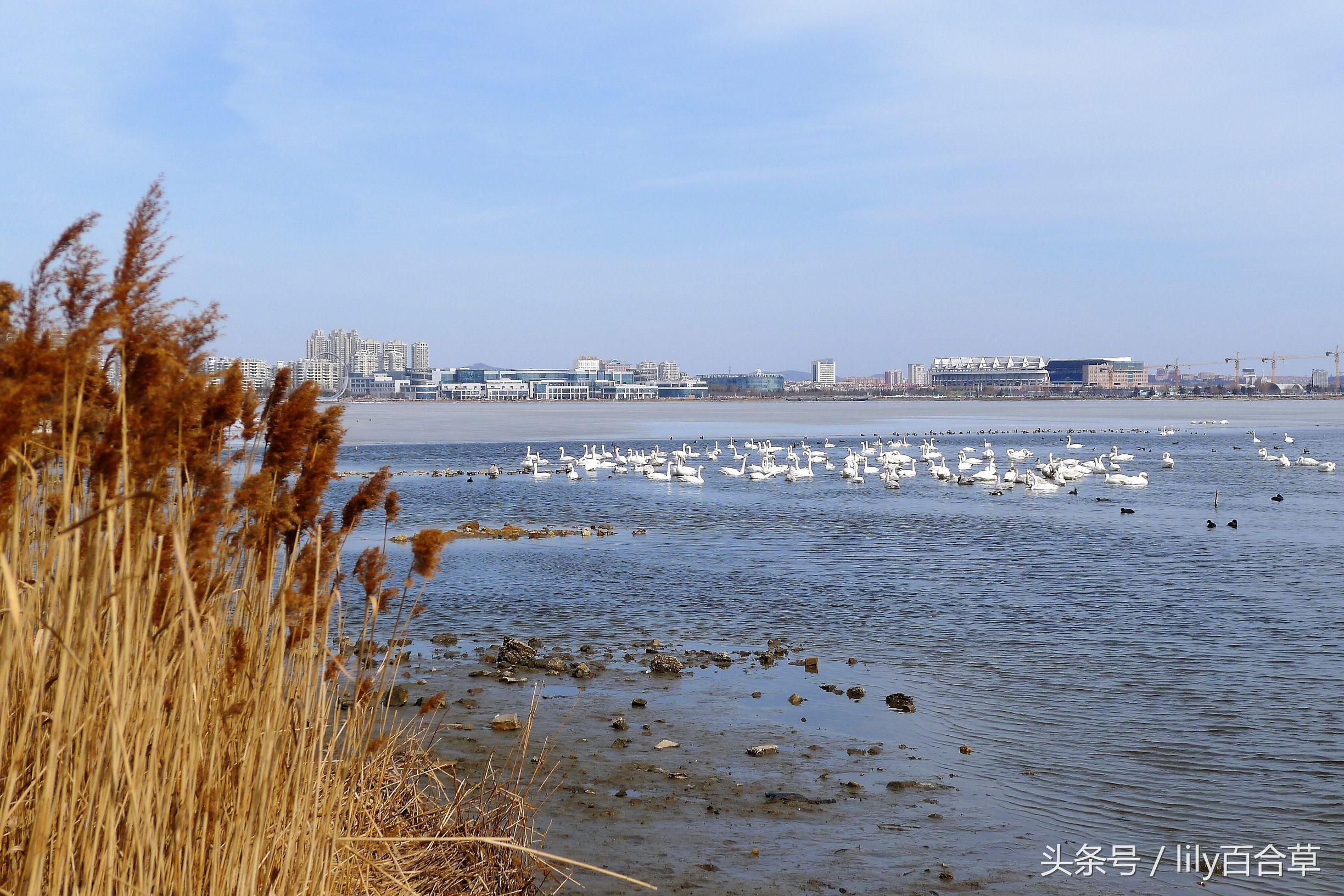 旅游英语常用语：轻松掌握关键短语，让出国旅行沟通无忧  第1张