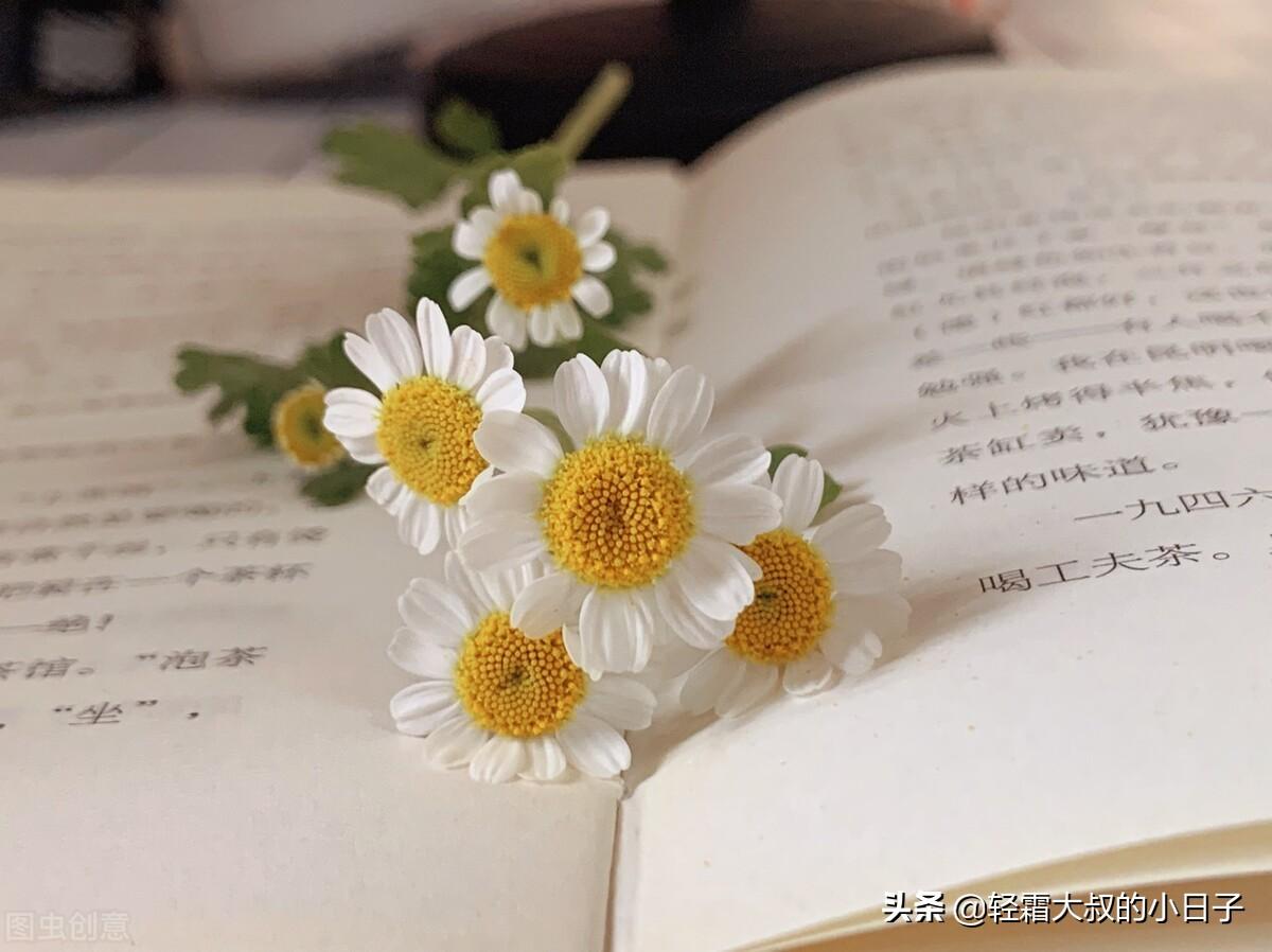 旅行常用英语单词下载:轻松掌握海外沟通,告别语言焦虑 第1张 旅行常用英语单词下载:轻松掌握海外沟通,告别语言焦虑 第1张