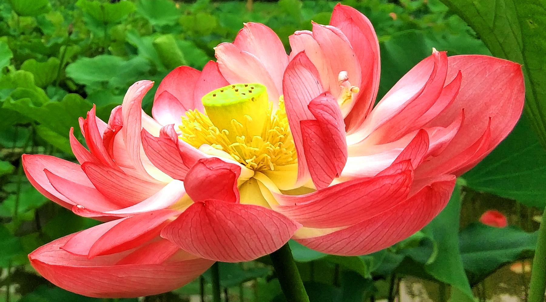 旅游常识问答题及答案解析:掌握这些技巧,让旅途更轻松愉快 第1张 旅游常识问答题及答案解析:掌握这些技巧,让旅途更轻松愉快 第1张