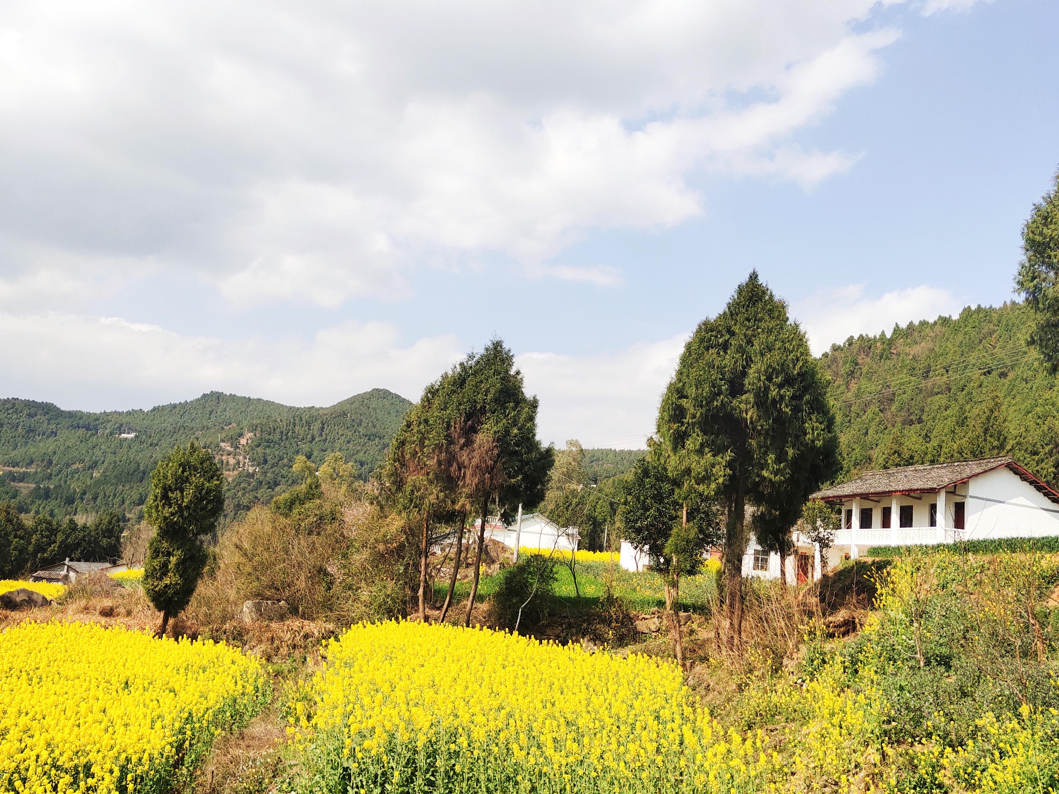 旅游常识问答题及答案解析:掌握这些技巧,让旅途更轻松愉快 第2张 旅游常识问答题及答案解析:掌握这些技巧,让旅途更轻松愉快 第2张