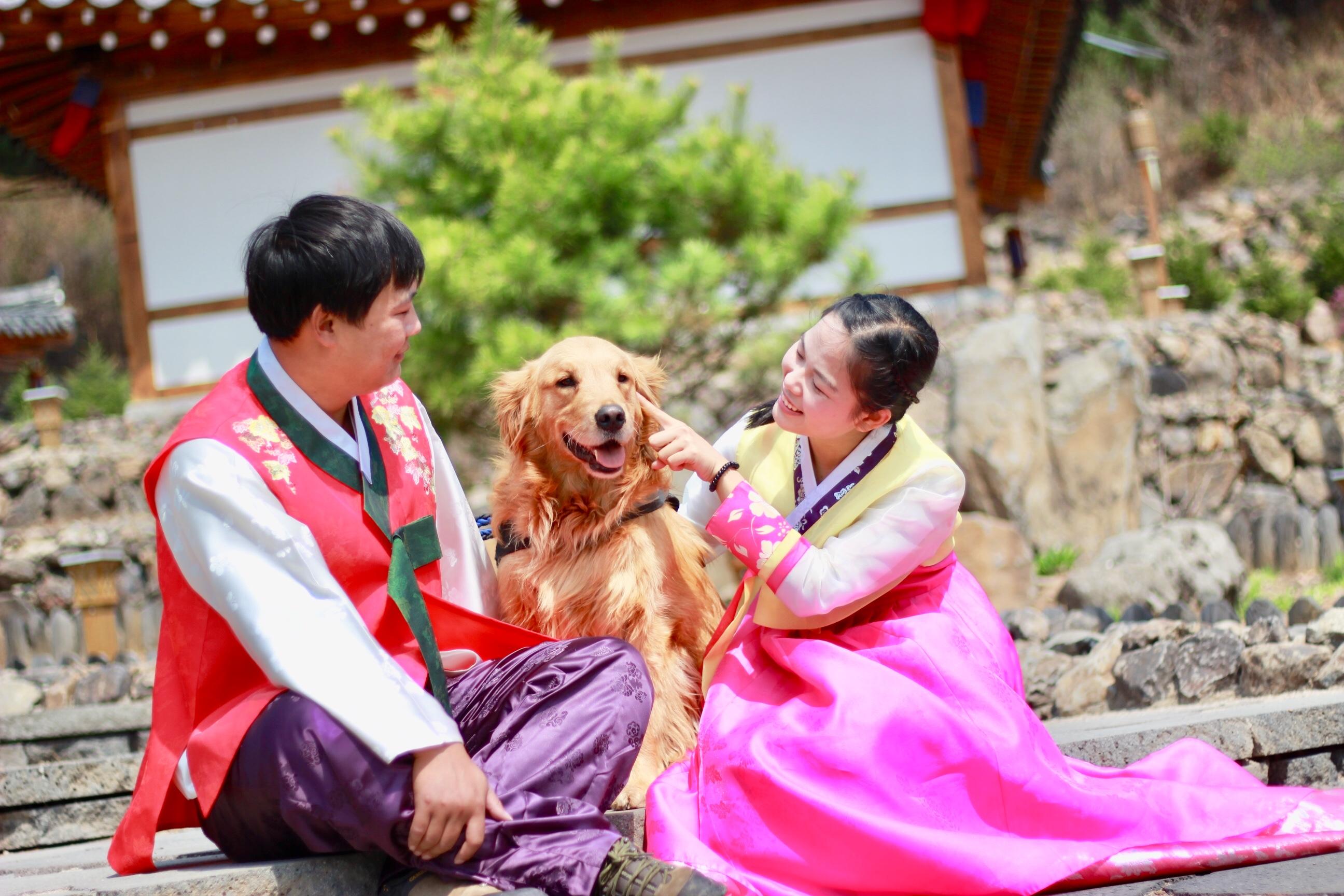 旅行方面的书推荐英语：轻松提升语言能力与开拓全球视野的双重乐趣  第1张