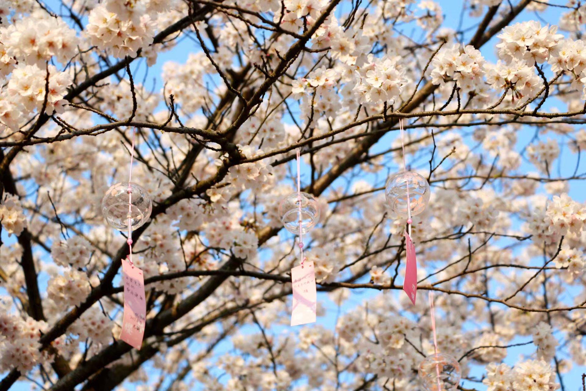 旅行应该注意什么细节?这20个关键点让你告别旅途烦恼,轻松享受每一程 第2张 旅行应该注意什么细节?这20个关键点让你告别旅途烦恼,轻松享受每一程 第2张