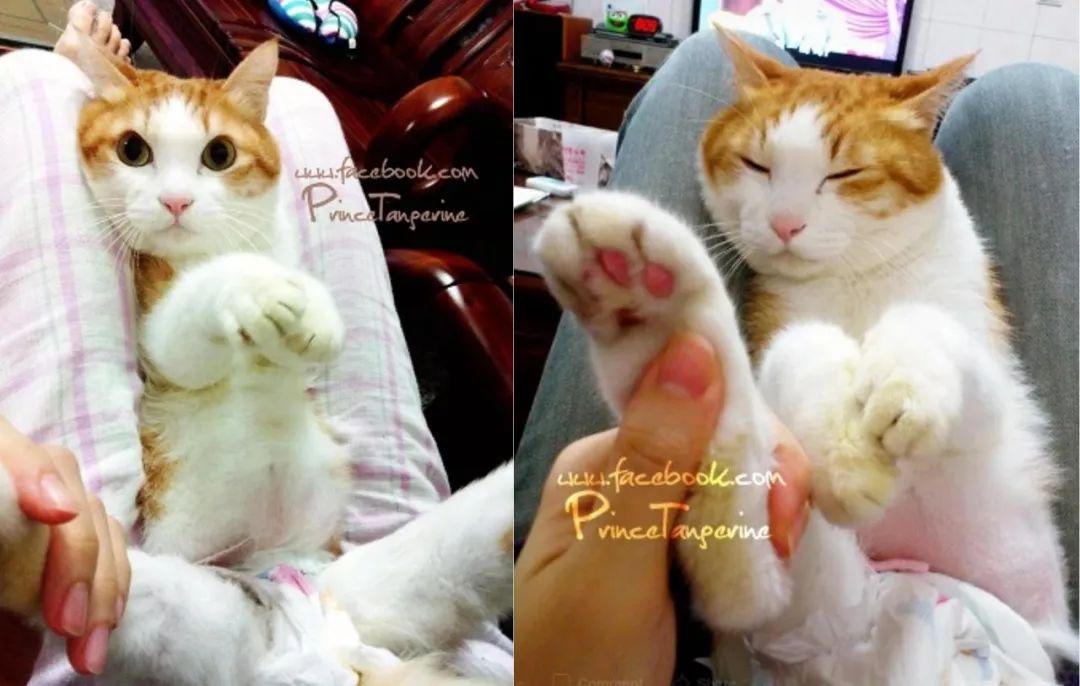 旅行要准备哪些东西？告别手忙脚乱，轻松打包享受完美旅程