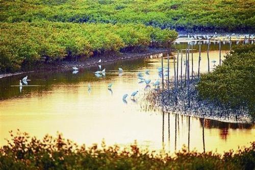 旅游增长见识的谚语：用古老智慧开启你的眼界，让每一次旅行都成为心灵的成长