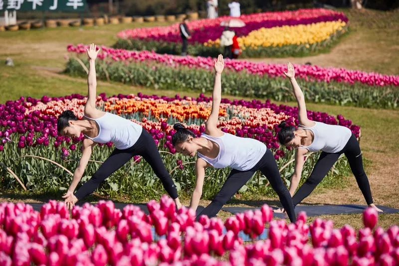 旅行的意思是什么？探索旅行定义、哲学意义与文化差异，带你发现旅行的真正价值